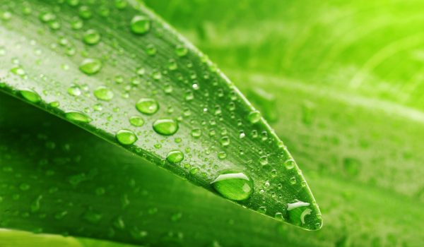 2.1_environmental_protection_01 2.1_environmental_protection_01