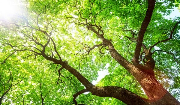 2.1_environmental_protection_04 2.1_environmental_protection_04
