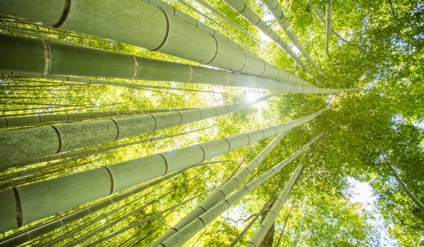2.1_environmental_protection_06 2.1_environmental_protection_06