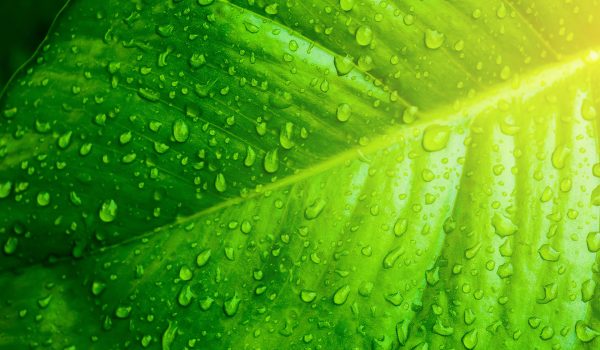 2.1_environmental_protection_07 2.1_environmental_protection_07