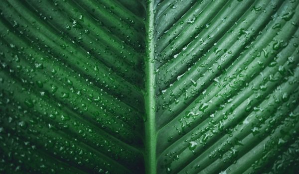 2.1_environmental_protection_08 2.1_environmental_protection_08
