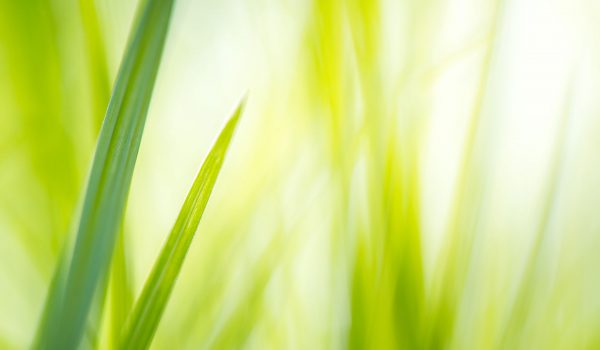 2.1_environmental_protection_09 2.1_environmental_protection_09