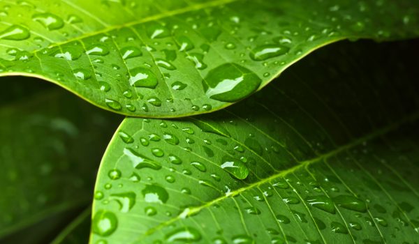 shutterstock_137123537 shutterstock_137123537
