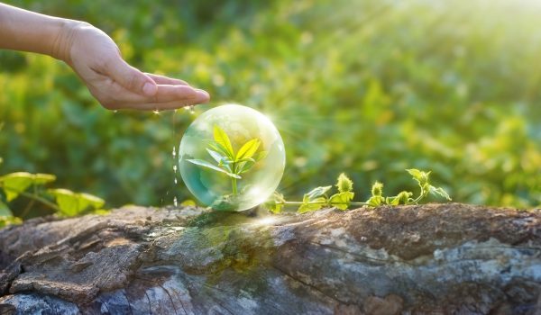shutterstock_432148513 shutterstock_432148513