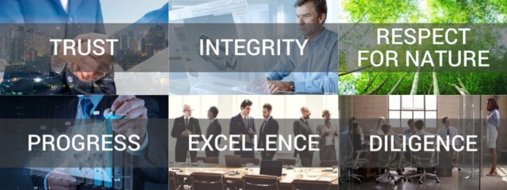 Core Values Engtek 1.6 Corporate Values – EP-Entel